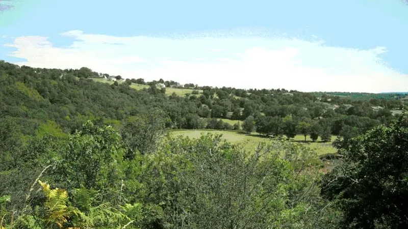 La Roche Vigeanne_1