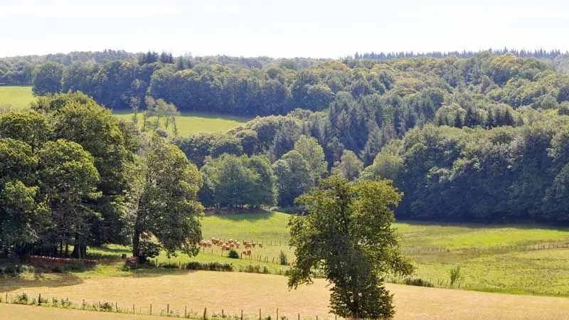 Sentier Les Tupes_2