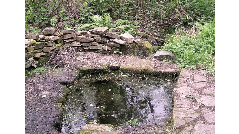 Les Bonnes Fontaines_2