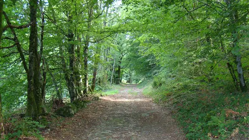 Chemin des seigneurs_4