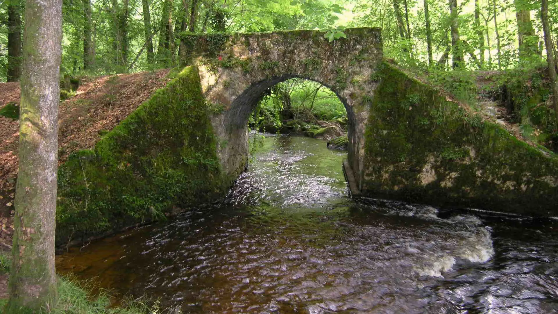 Sentier des étangs_1