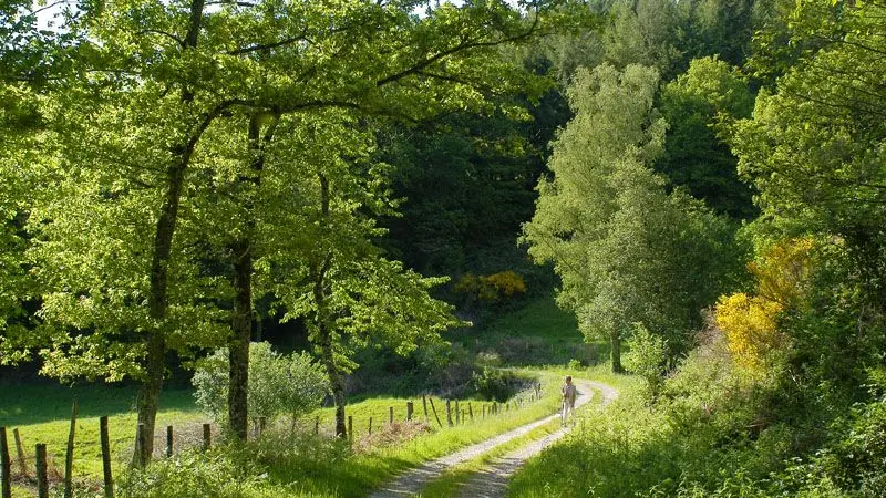 Sentier des étangs à Saint-Gence_1