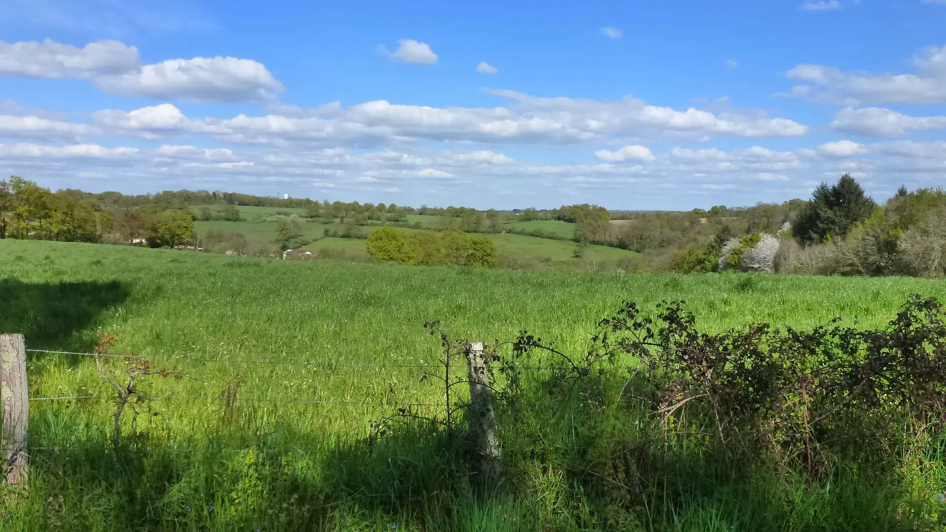 Chemin de Boireau_1