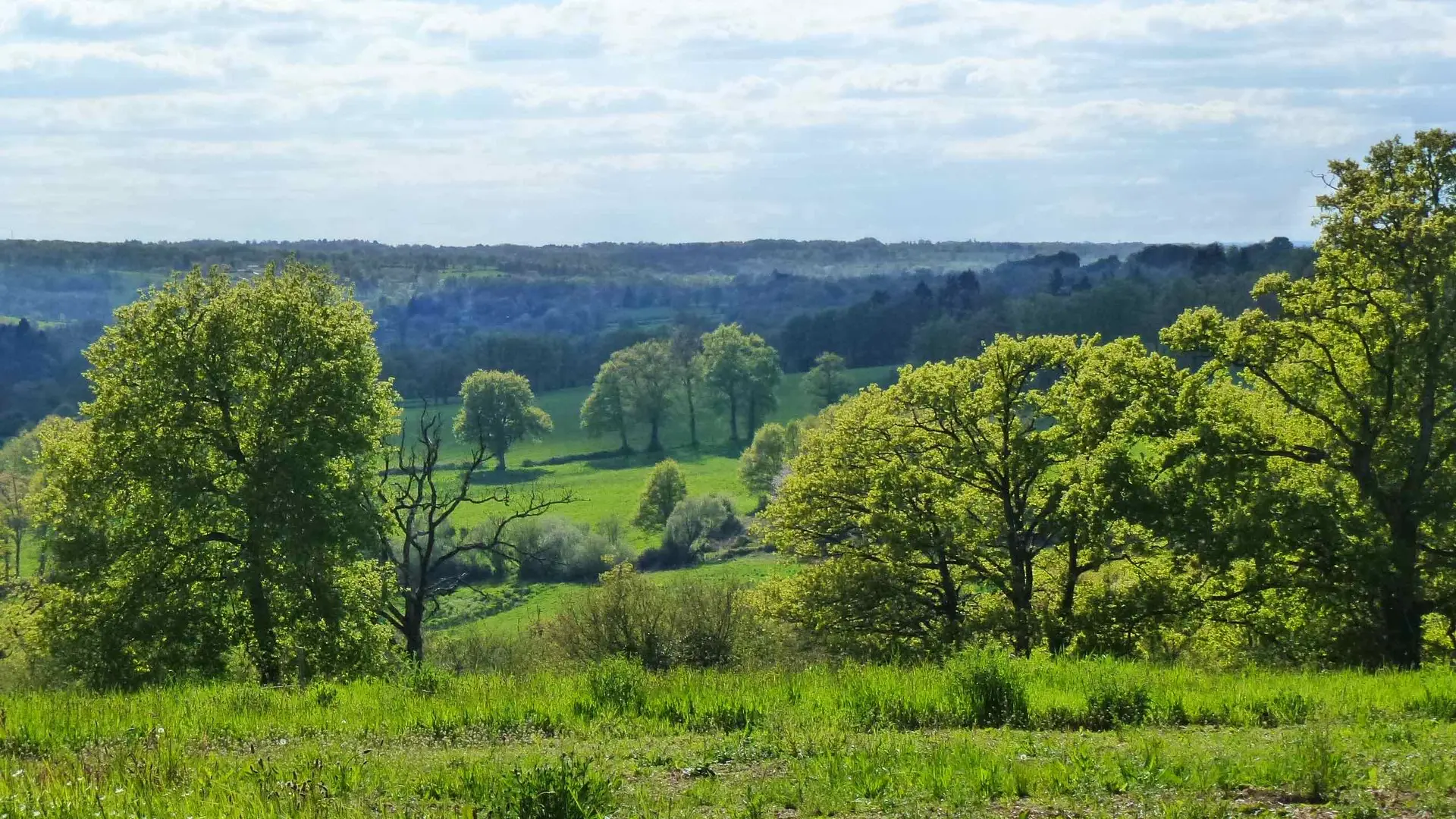 Chemin de Boireau_2