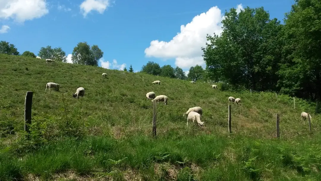 Sentier des bergères_1