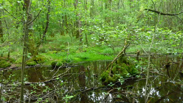 Le Martoulet_3