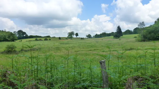 Le Martoulet_5