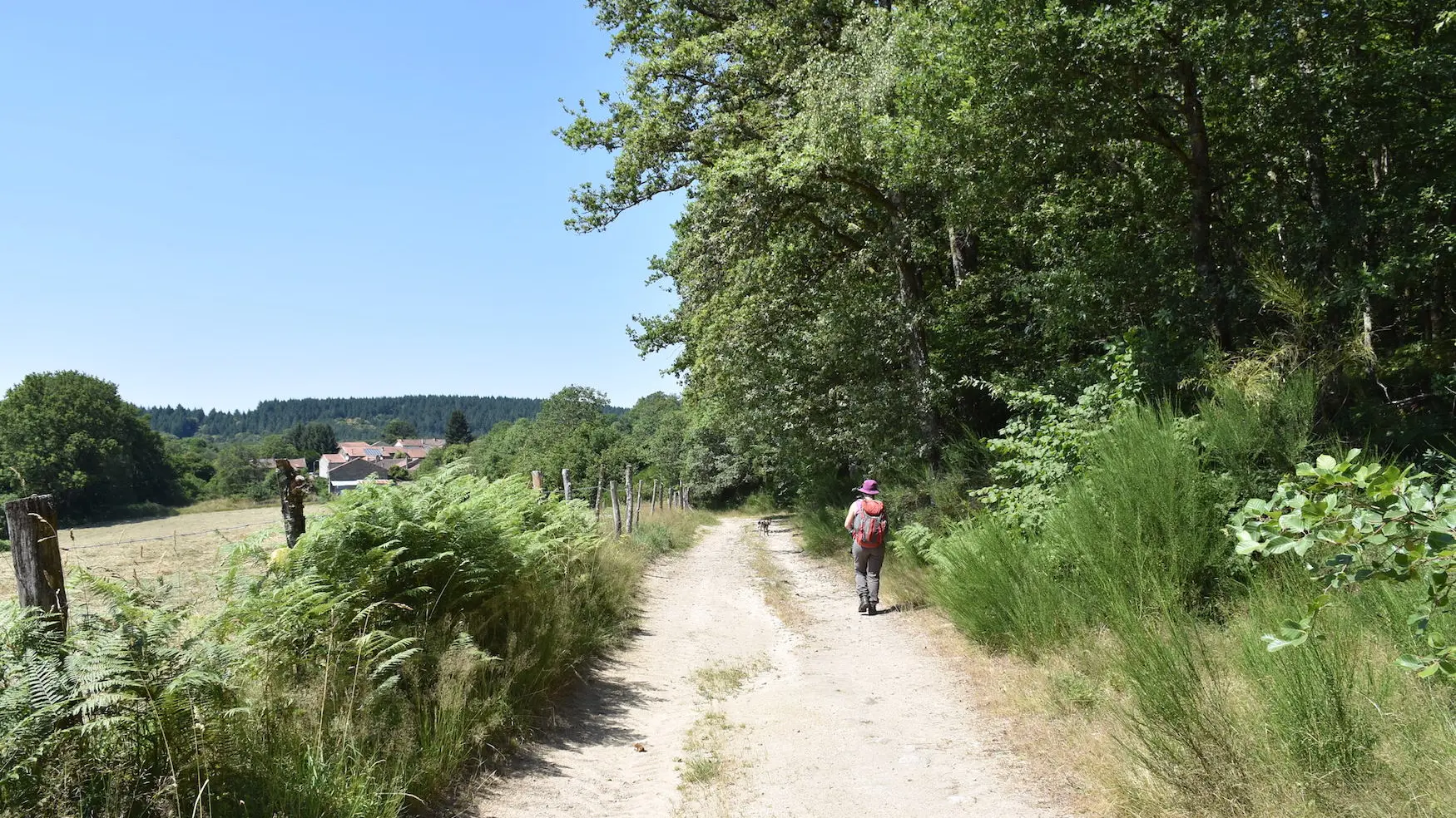 Boucle de Limoges à Saint-Pardoux Coeur de Nature (étape 2)_11