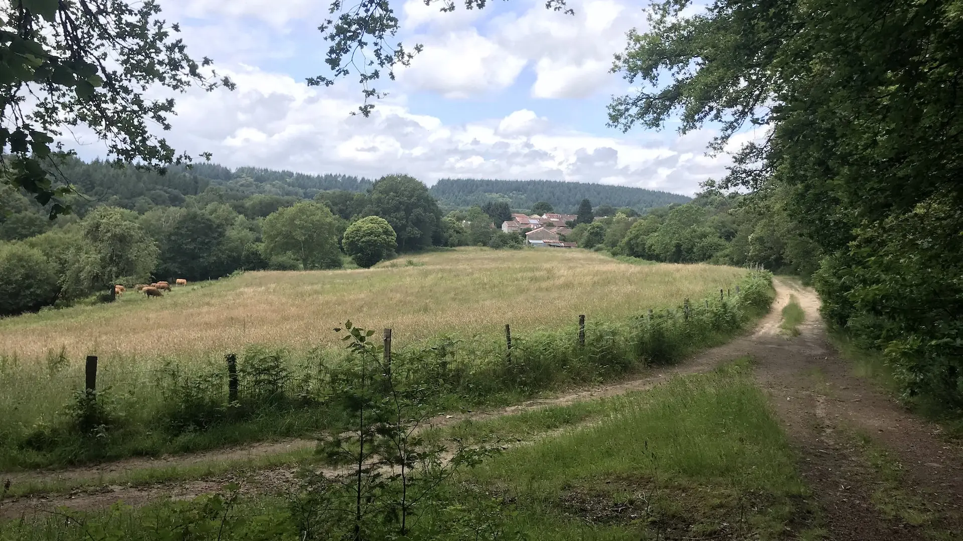 Boucle de Limoges à Saint-Pardoux Coeur de Nature (étape 2)_8