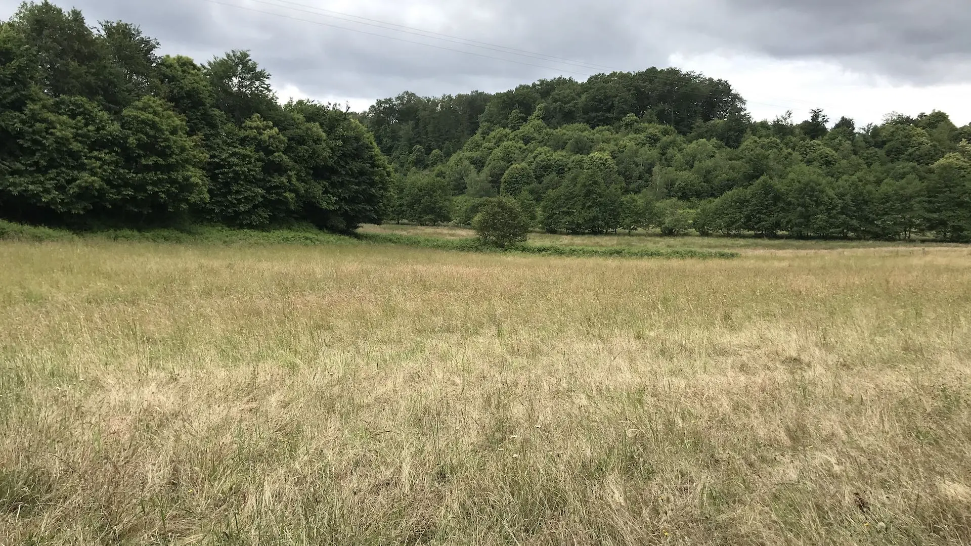 Boucle de Limoges à Saint-Pardoux Coeur de Nature (étape 2)_10