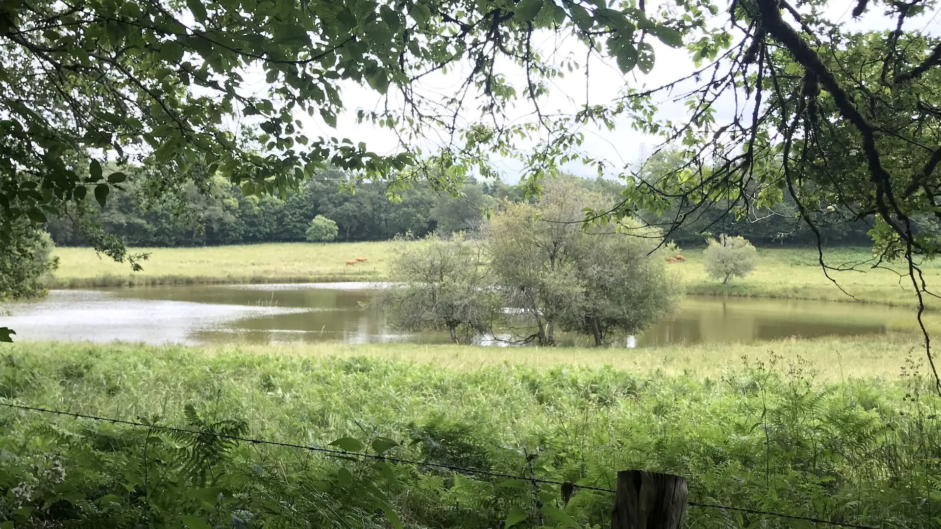 Boucle de Limoges à Saint-Pardoux Coeur de Nature (étape 2)_7