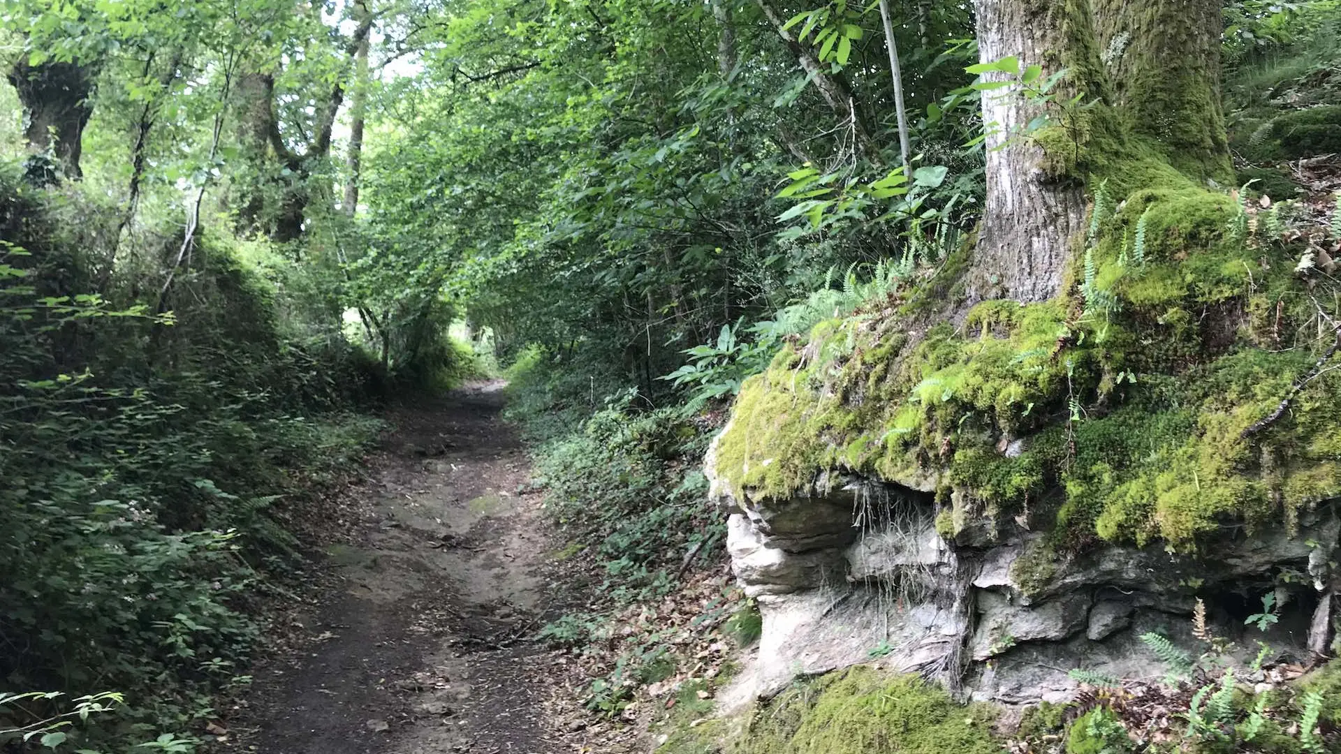 Boucle de Limoges à Saint-Pardoux Coeur de Nature (étape 2)_17