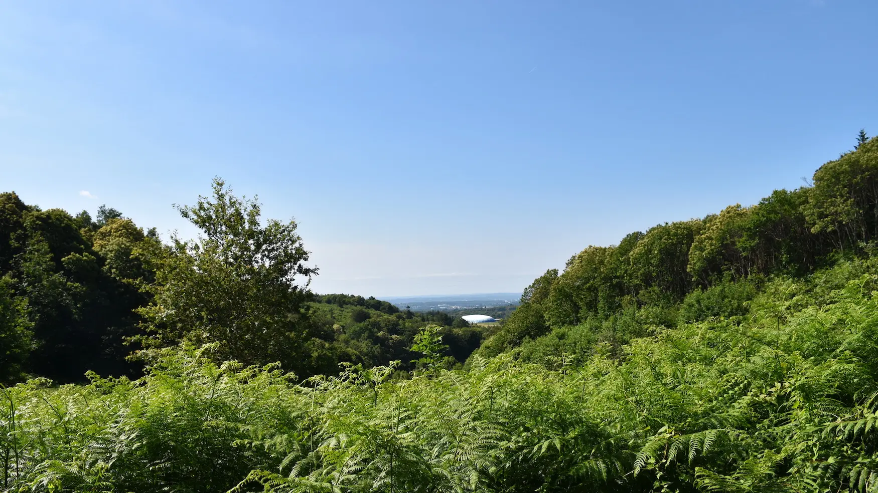 Boucle de Limoges à Saint-Pardoux Coeur de Nature (étape 2)_6