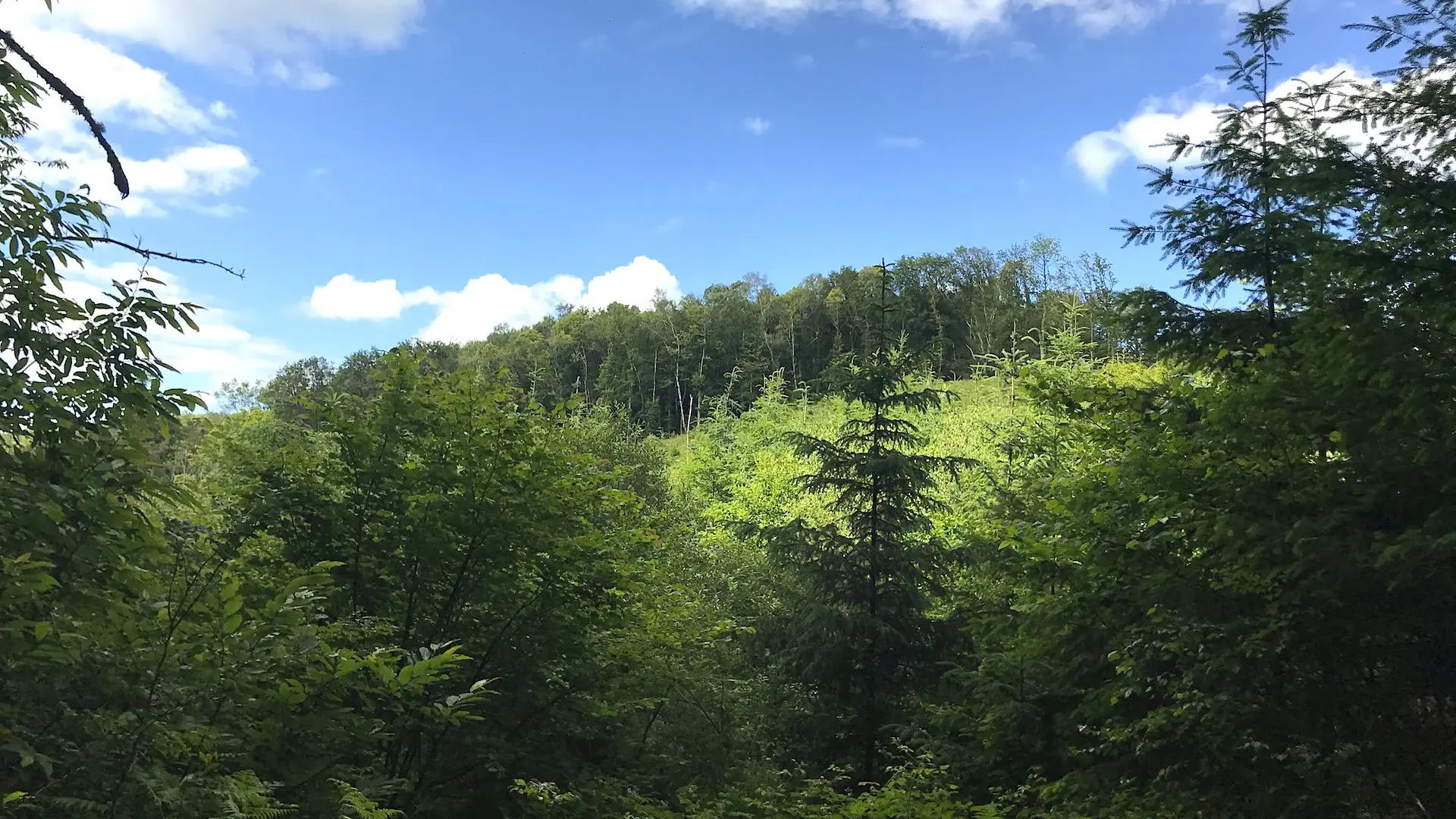 Boucle de Limoges à Saint-Pardoux Coeur de Nature (étape 3)_10