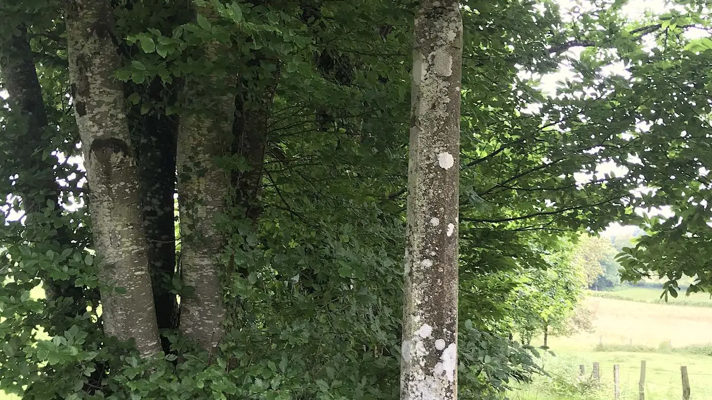 Boucle de Limoges à Saint-Pardoux Coeur de Nature (étape 3)_3
