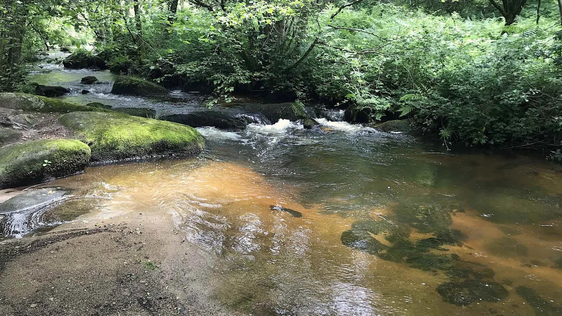Boucle de Limoges à Saint-Pardoux Coeur de Nature (étape 3)_7