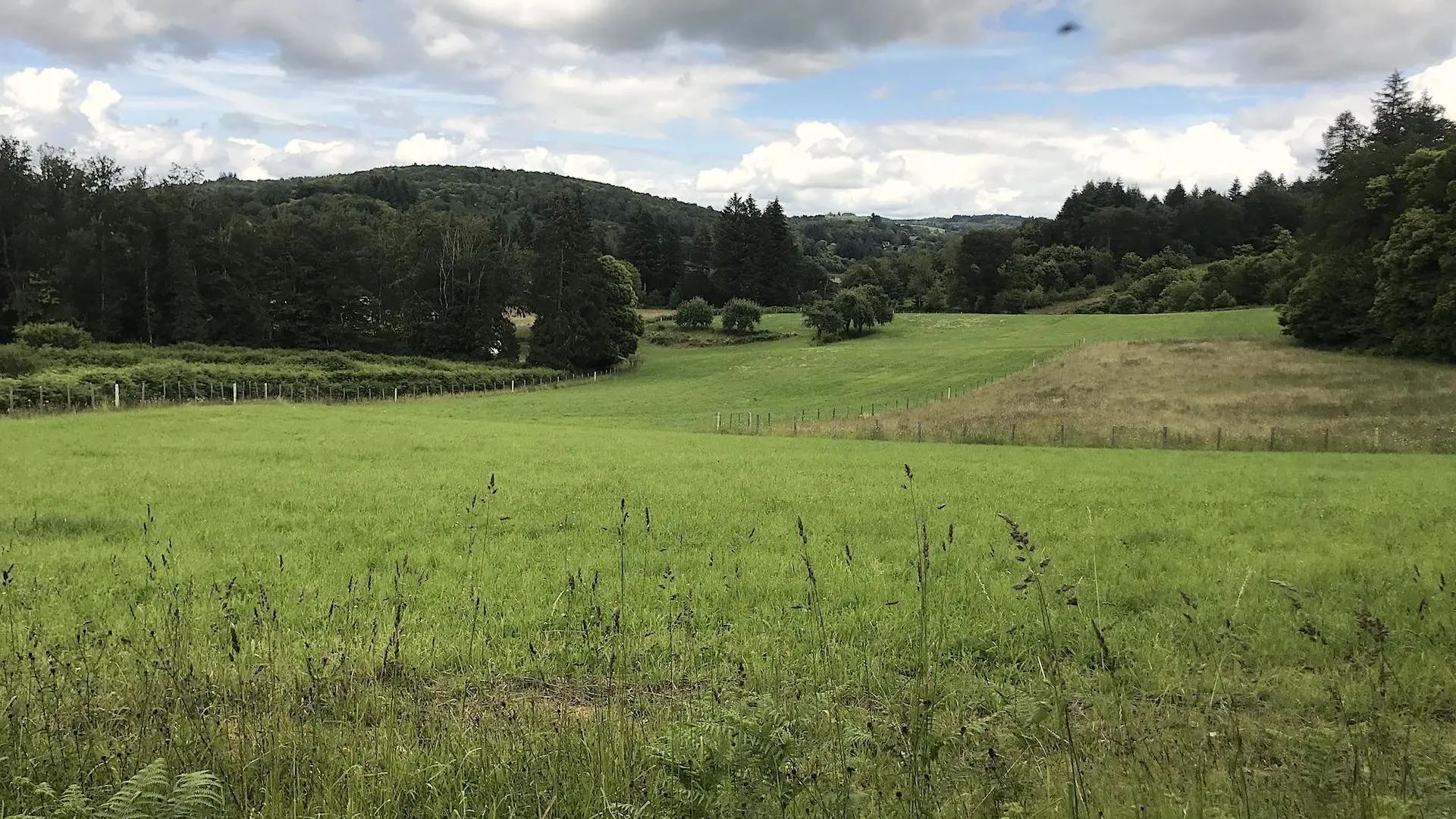 Boucle de Limoges à Saint-Pardoux Coeur de Nature (étape 3)_12
