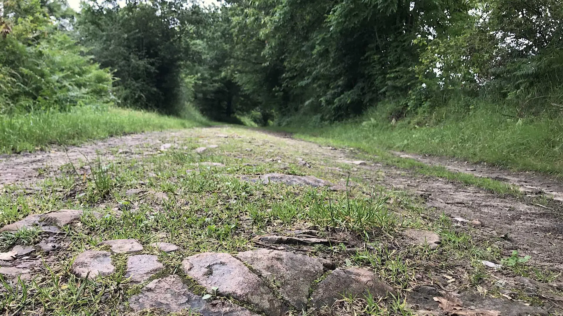 Boucle de Limoges à Saint-Pardoux Coeur de Nature (étape 3)_6