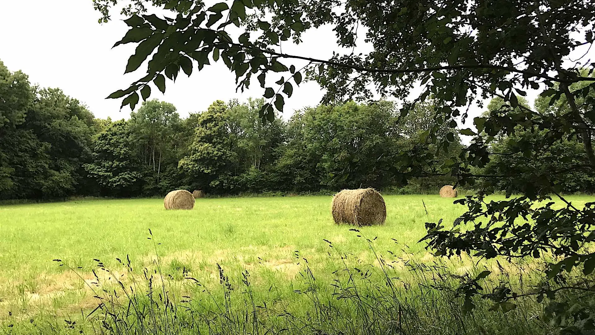 Boucle de Limoges à Saint-Pardoux Coeur de Nature (étape 3)_5