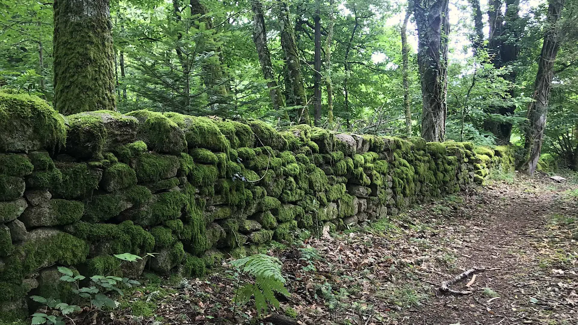 Boucle de Limoges à Saint-Pardoux Coeur de Nature (étape 3)_11