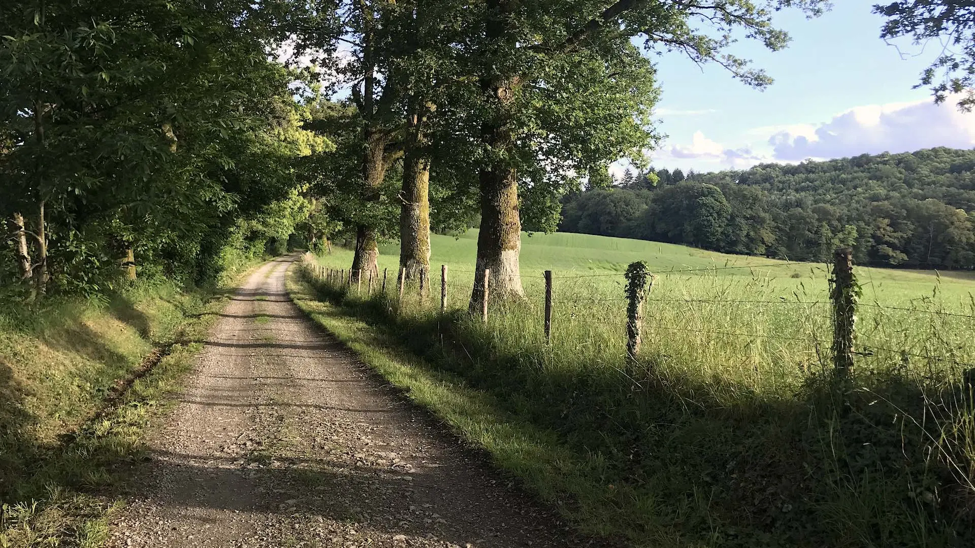 Boucle de Limoges à Saint-Pardoux Coeur de Nature (étape 3)_16