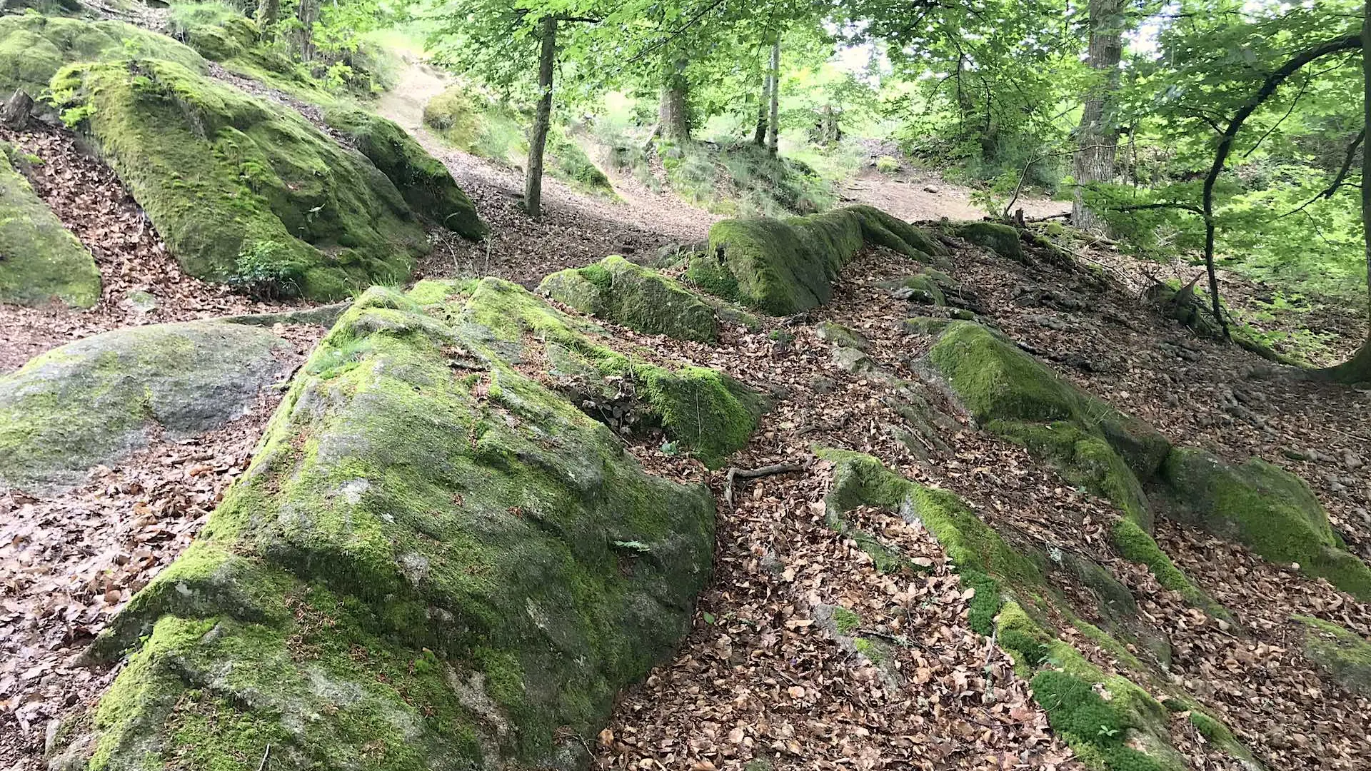 Boucle de Limoges à Saint-Pardoux Coeur de Nature (étape 3)_13