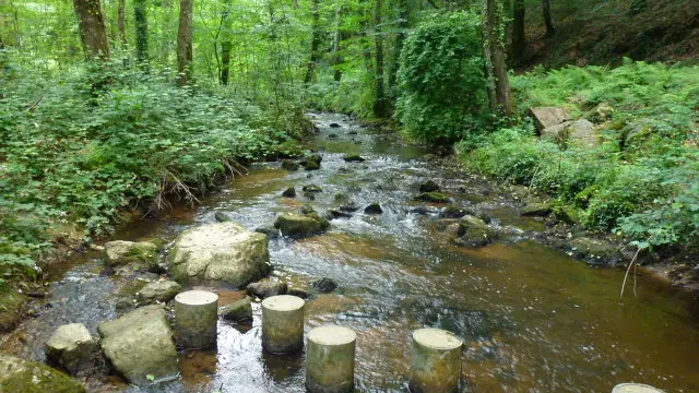 Boucle de Limoges à Saint-Pardoux Coeur de Nature (étape 5)_3