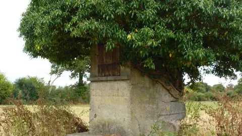 Circuit de l'étang des Brégères_5
