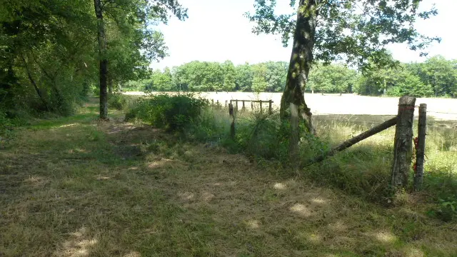 bocage limousin_2
