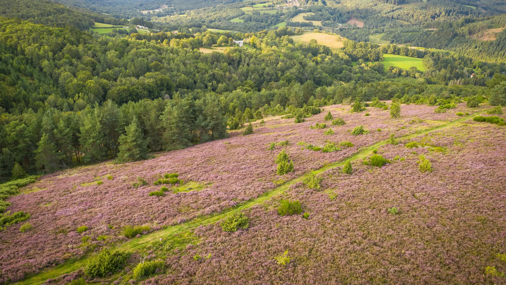 18 - Puy Raynaud - Marina 2