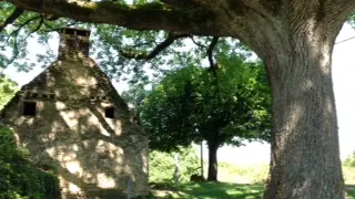18 Croix de La Veyssière et vieux chêne vert