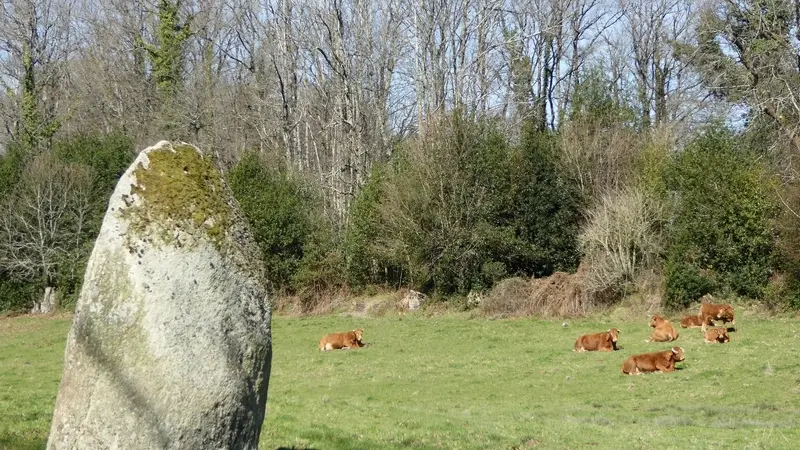 Menhir des Fichades_1