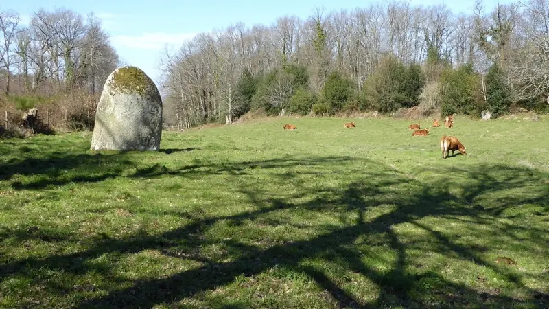 Menhir des Fichades_2