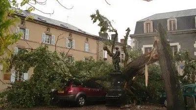 Chêne de la Liberté tombé le 3/10/2006_2