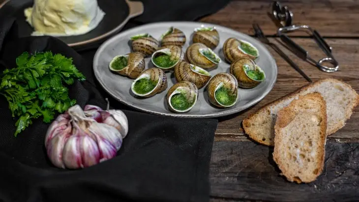 Les escargots de Jade_1