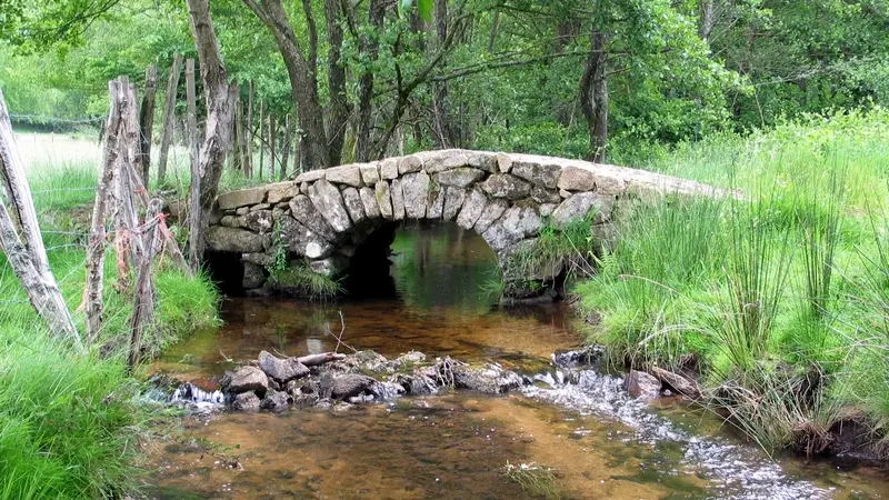 Le pont des Granges_3