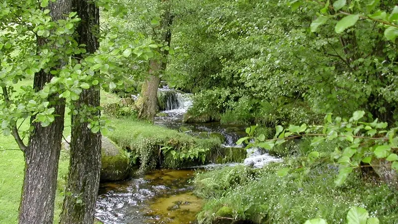 Le ruisseau de la Vergne_4