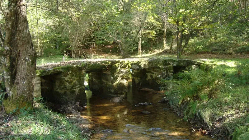 Pont médiéval dit romain_2