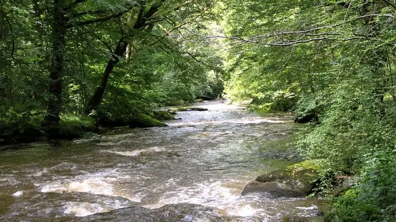 La Gartempe_3