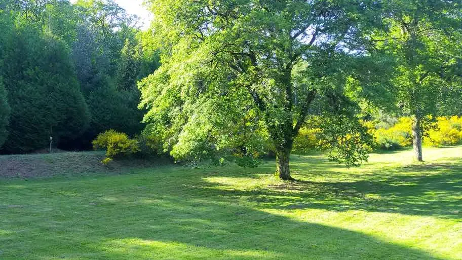 Camping Les Roussilles_9