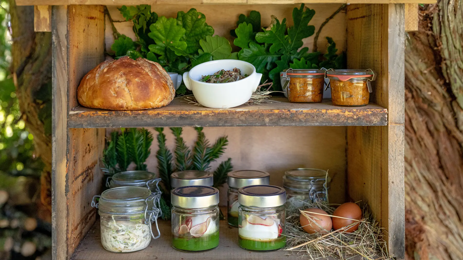 Les Ruches à Manger ruches_a_manger