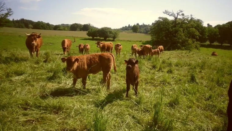 La ferme du Mas Crochet_2
