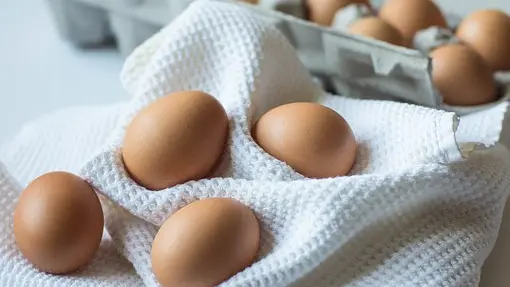 Les oeufs de Nina