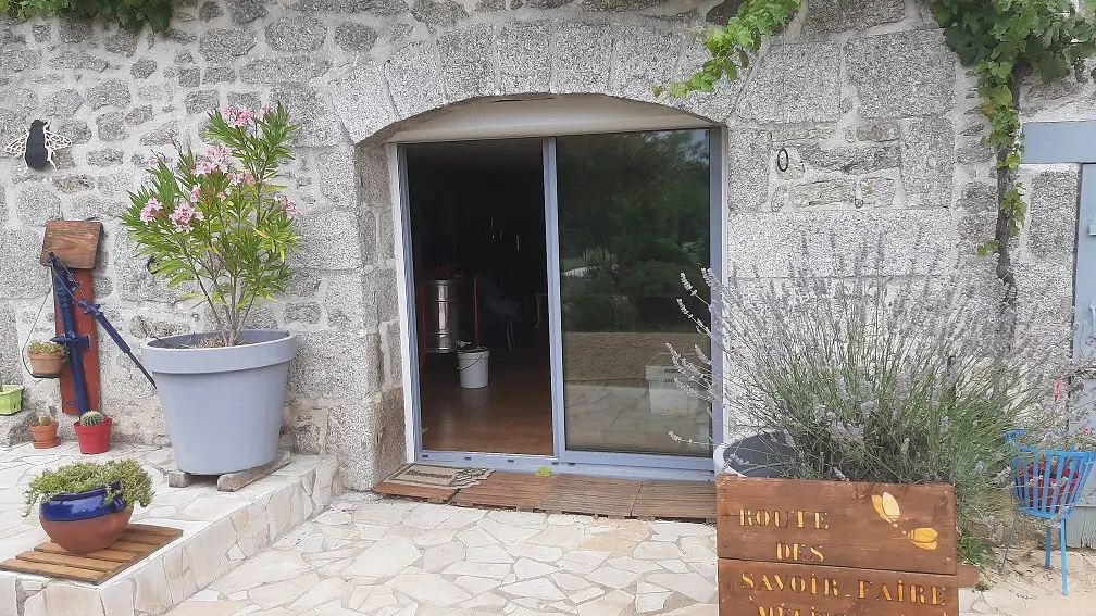 Melissa Miel, visite gratuite chez un apiculteur_10