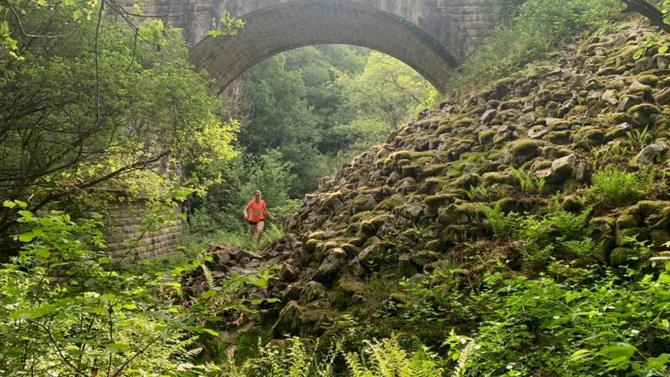 Alefpa Trail_3