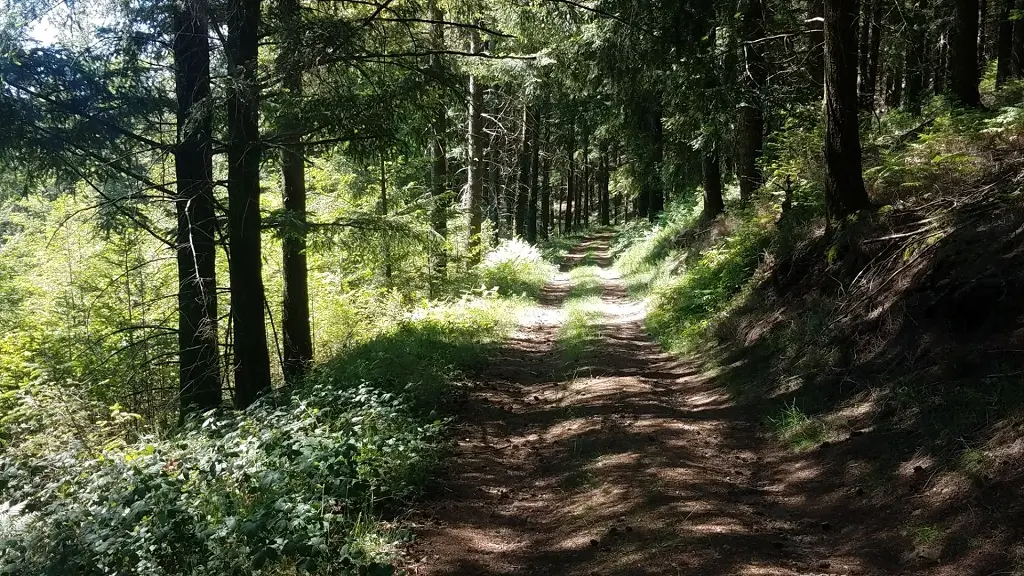Saint-Julien-le-petit-Boucle du Mont Larron_1