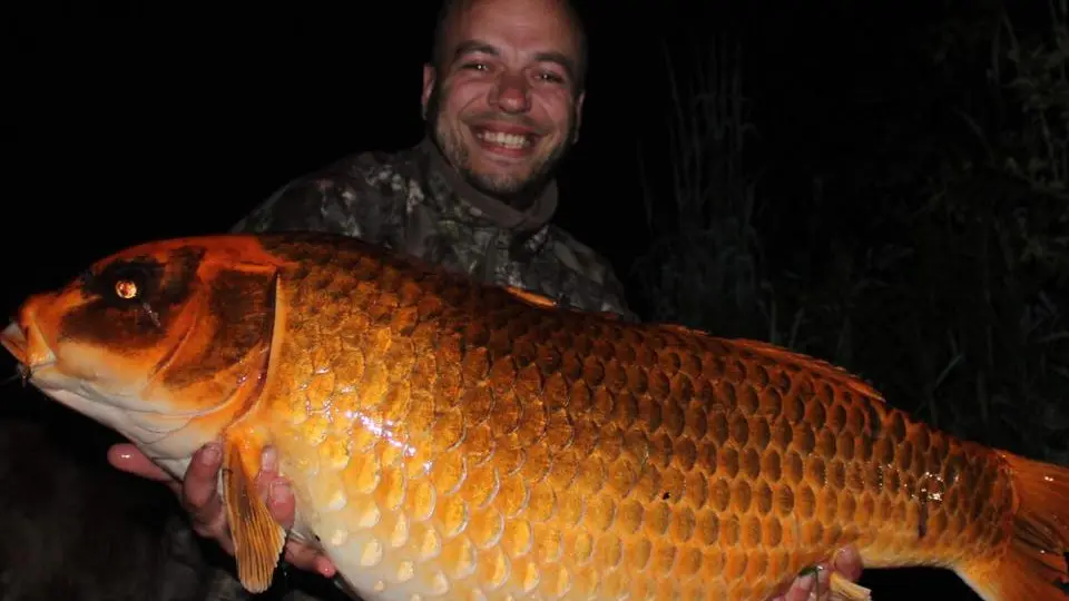 191239155_3591351090969674_851960286237485300_n