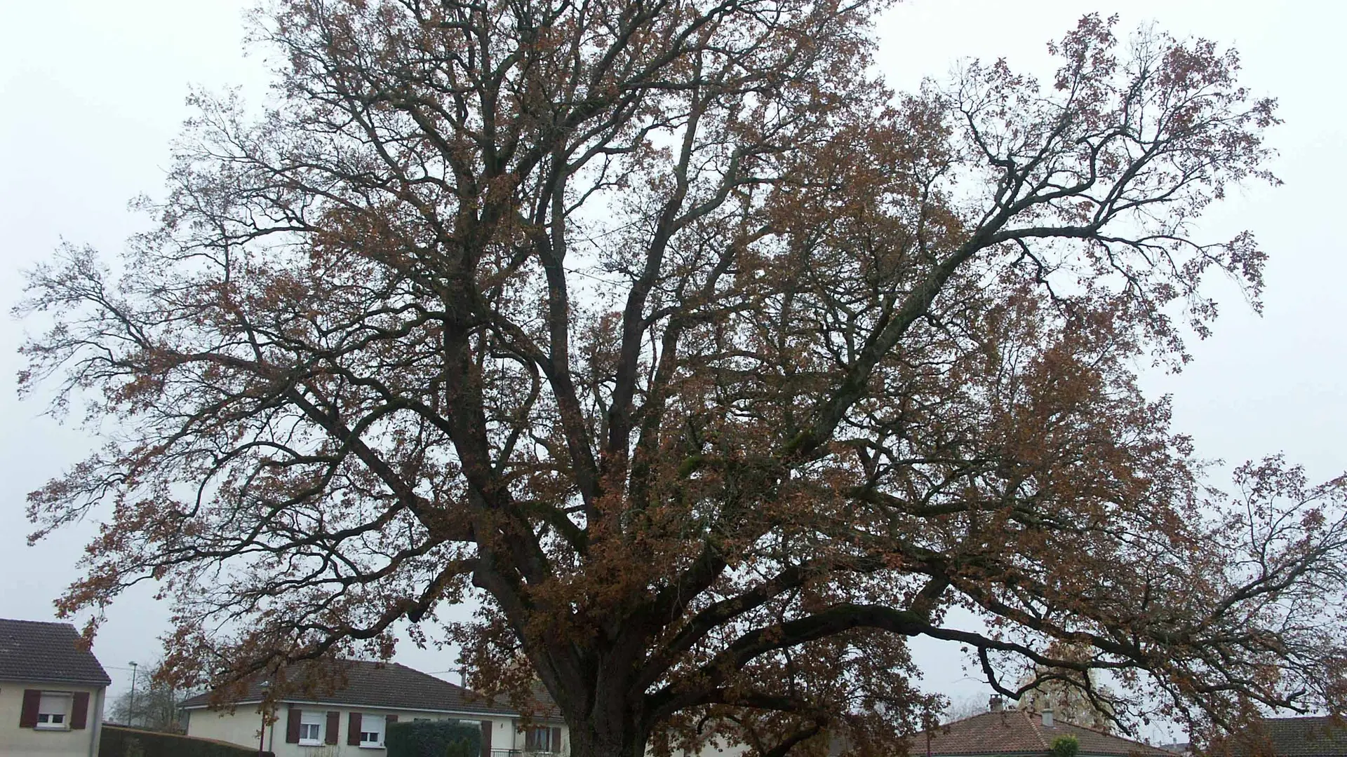Crédit photo: Mairie de Bosmie l'Aiguille_1