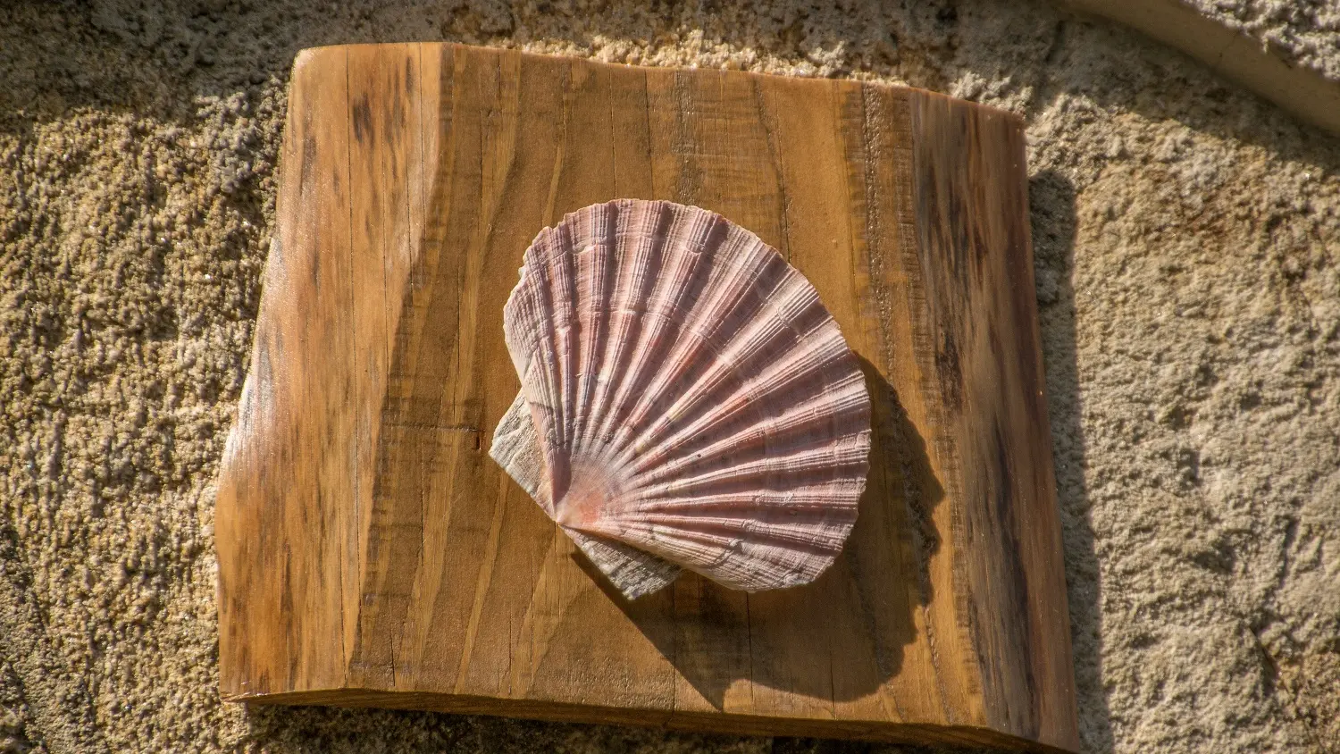 La Petite Maison - Chambre d'étape pèlerins_6