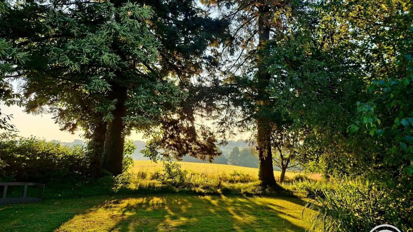 Le Chant des Oiseaux_39